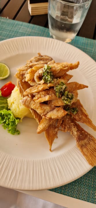 Gastro TRS Turquesa Hotel - Adults only