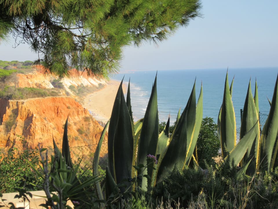 Außenansicht PortoBay Falésia