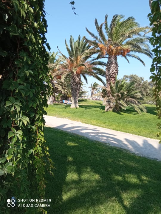 Gartenanlage Hotel Esperia