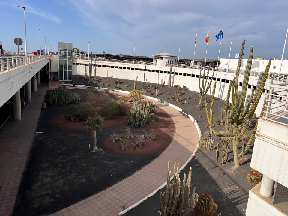 Ausblick allsun App.-Hotel Albatros