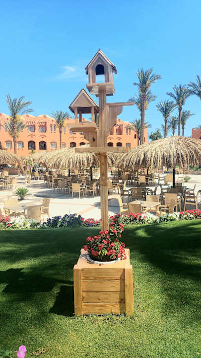 Gartenanlage Jaz Makadi Oasis Resort