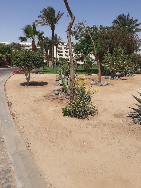 Gartenanlage Steigenberger ALDAU Beach Hotel