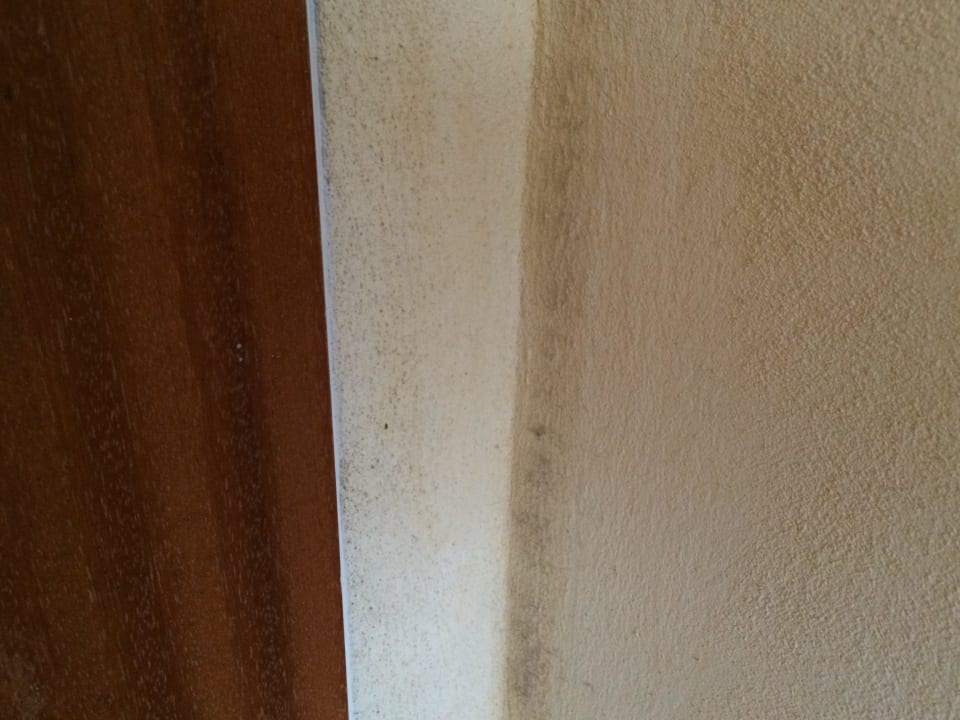 Schimmel neben der Eingangstüre Hotel Offenbacher Hof