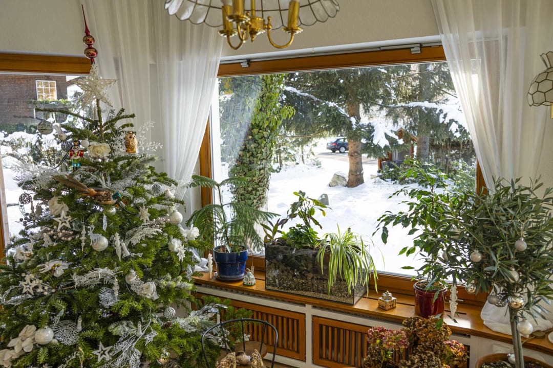 Ausblick Naturion Hotel Hinterzarten