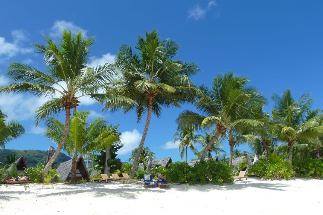 Gartenanlage mit Strand La Digue Island Lodge