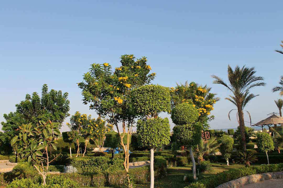 Festival Riviera Resort Riviera Aqua Park Resort