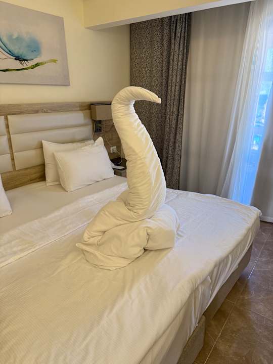 Zimmer Beach Albatros Resort