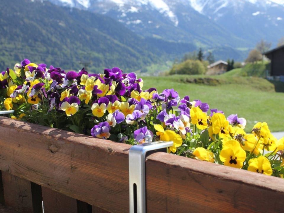Ausblick von der Terrasse Hotel Wannenhorn