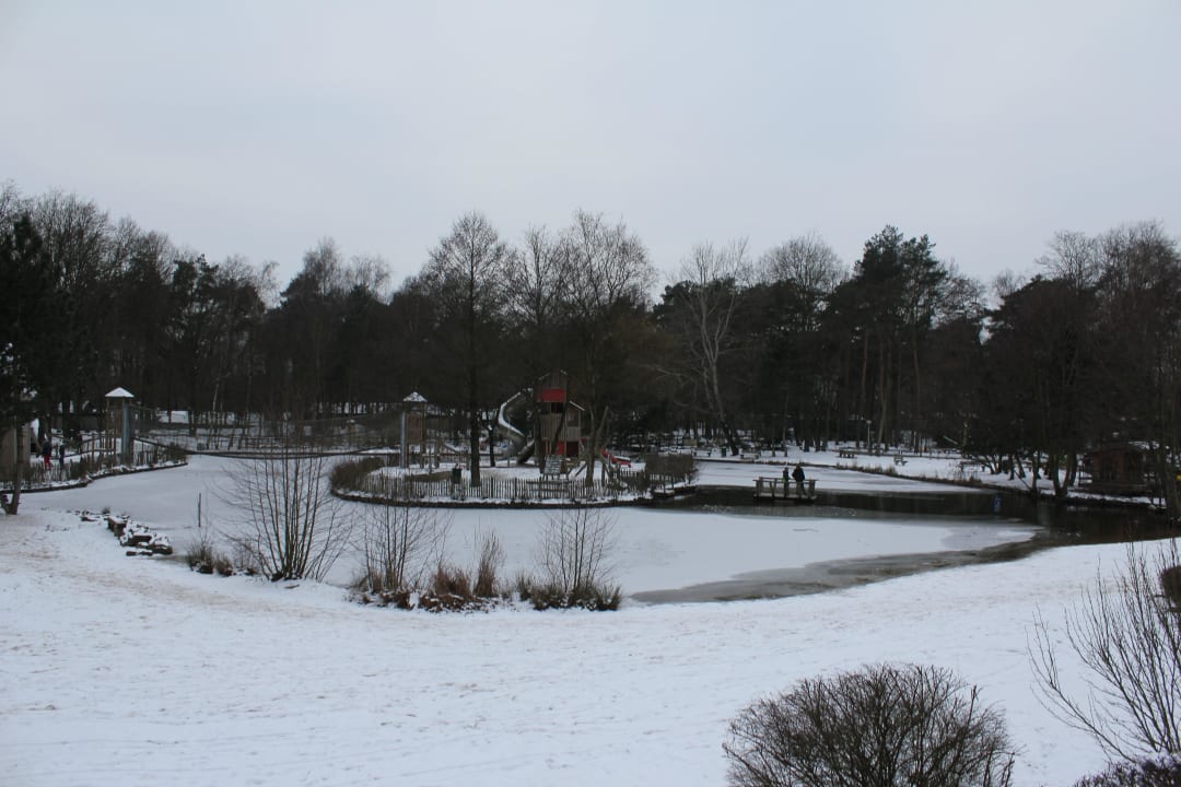 Eingefrorener See und Spielplatz Ferienpark Landal De Lommerbergen