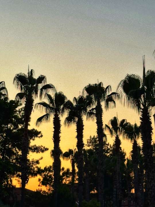 Ausblick Club Sidelya Hotel