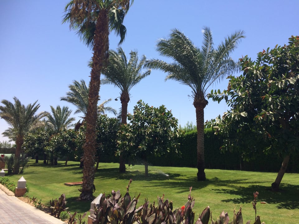 Gartenanlage Pickalbatros Aqua Park Resort - Hurghada
