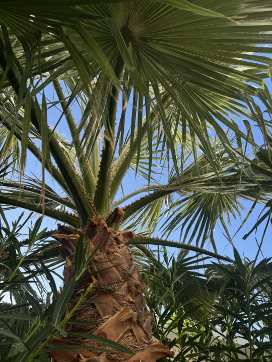 Gartenanlage HARPIN Happy Days Beach Hotel