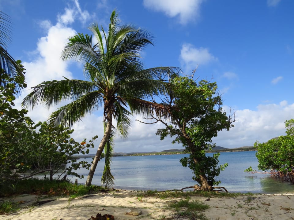 Strand Sol Rio De Luna y Mares