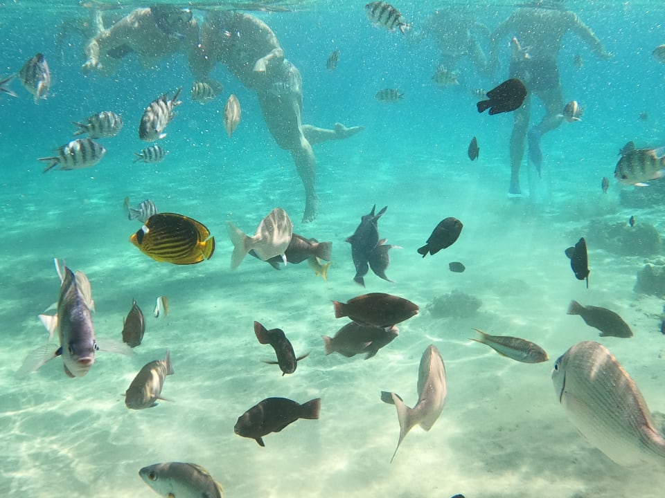 Sport & Freizeit Hotel JAZ Makadi Star & Spa