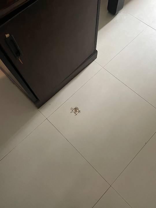 Zimmer Krabi Nature Beach Resort