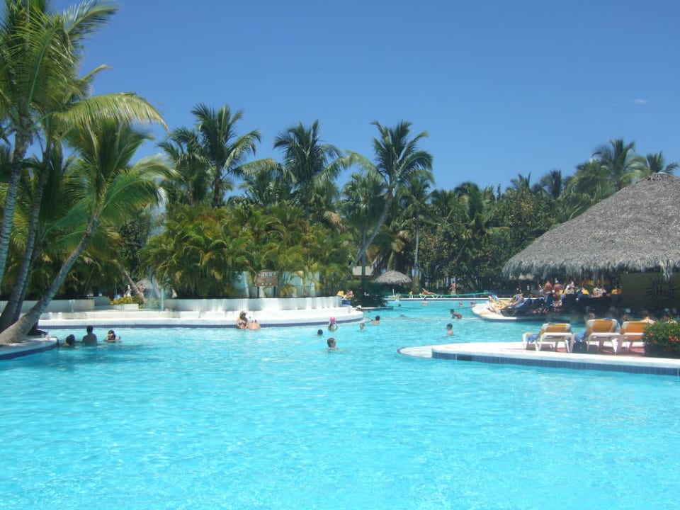 Pool mit Poolbat Catalonia Punta Cana - All Inclusive