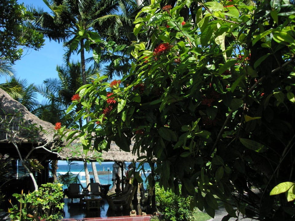 Blick zum Meer Anom Beach Hotel