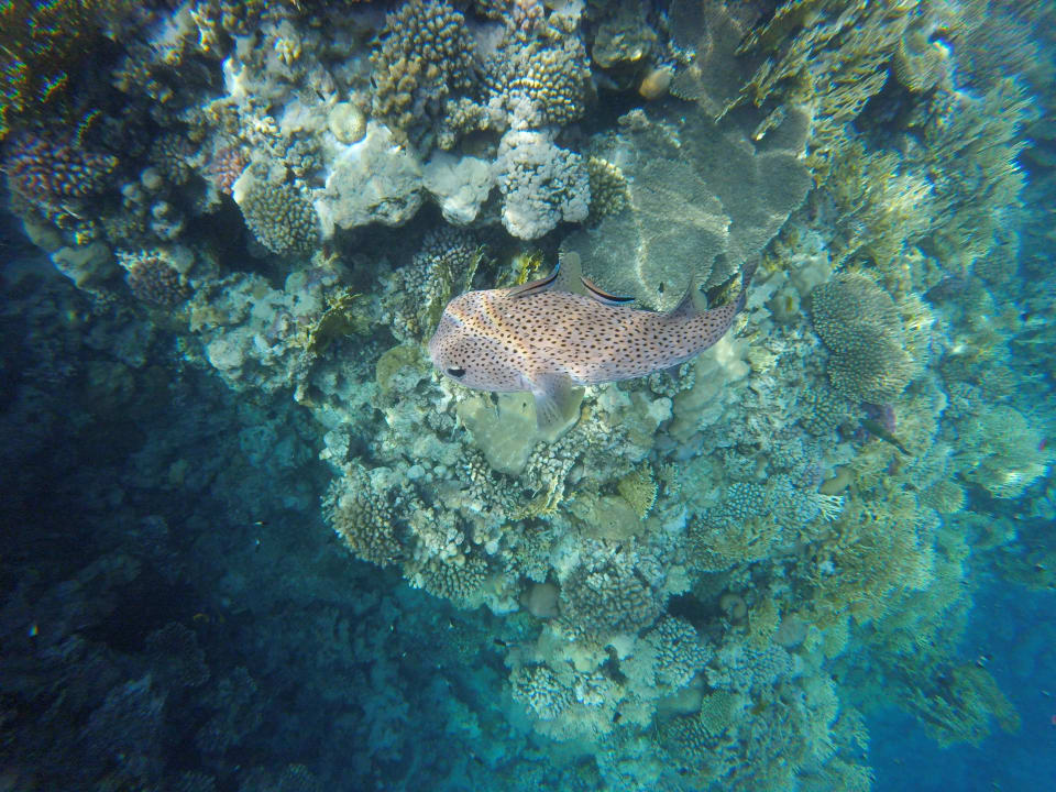 Strand Casa Mare Resort