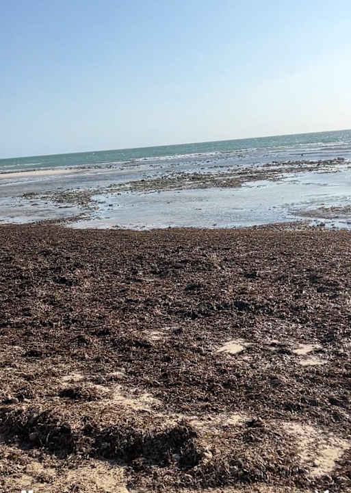 Strand ROBINSON DJERBA BAHIYA