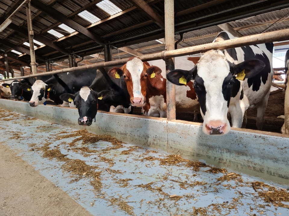 Sport & Freizeit Kapellenhof