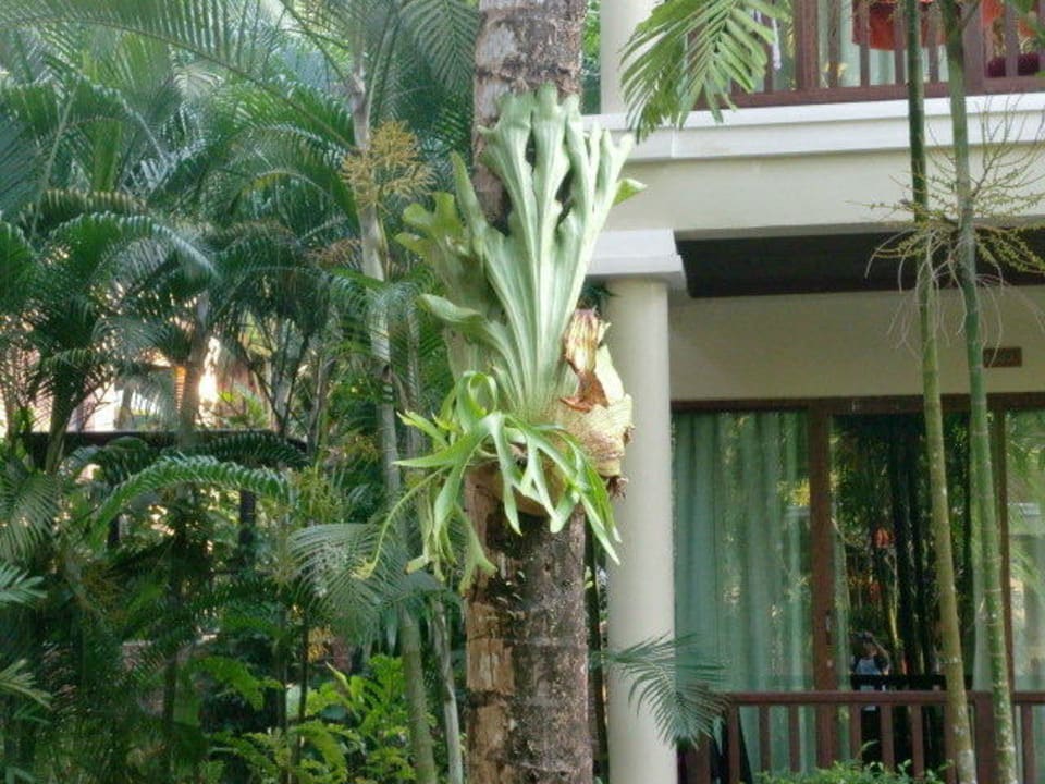 Unserer Bungi Khao Lak Bayfront Resort