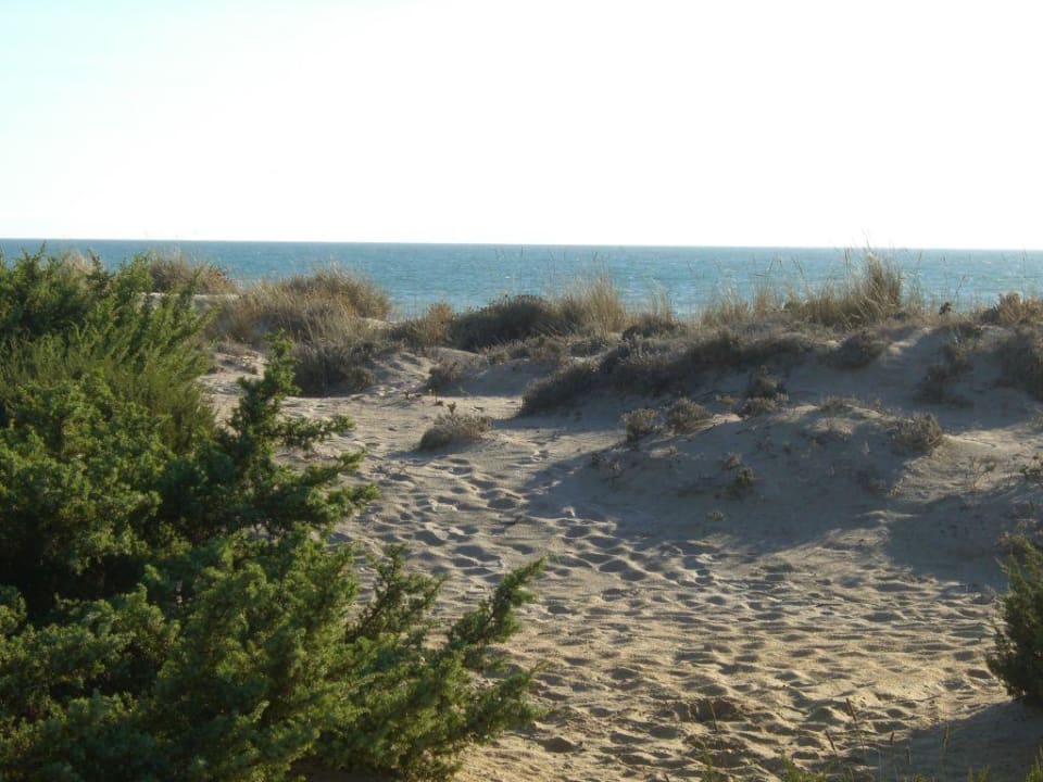 Weg zum Strand Sol Sancti Petri Apartamentos