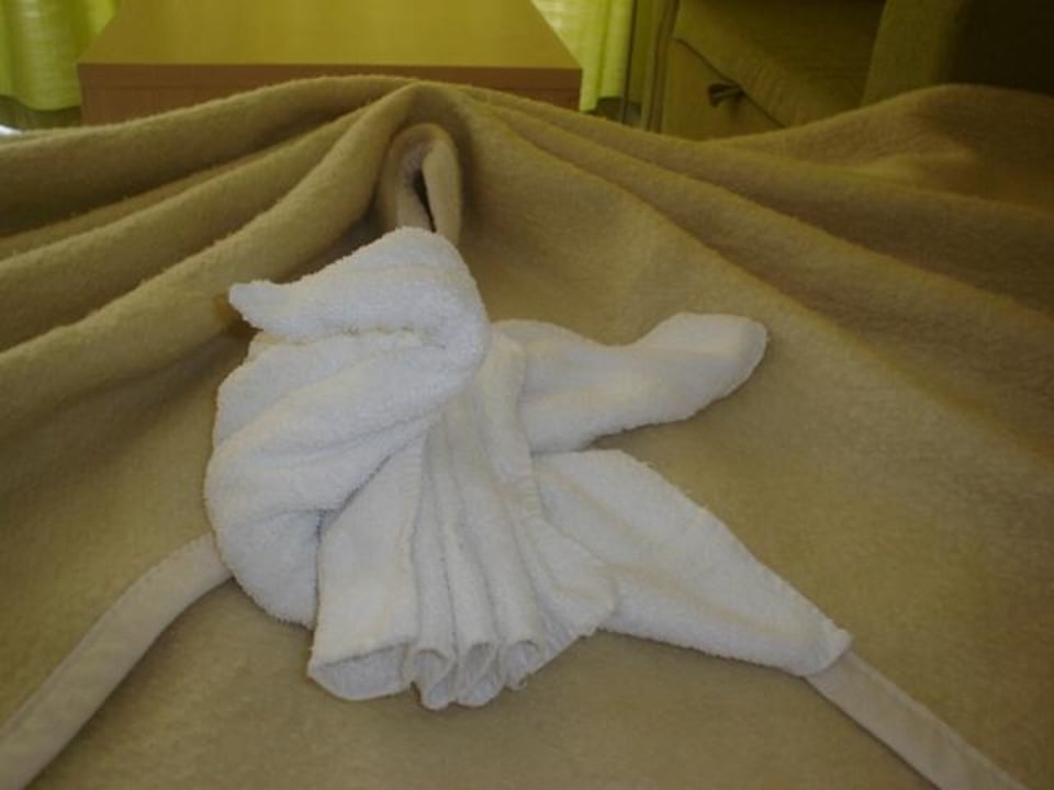 Wykonane przez sprzątaczkę Park Hotel Golden Beach