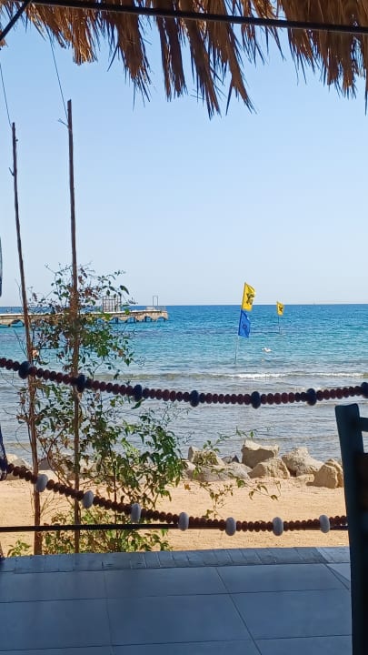 Ausblick Desert Rose