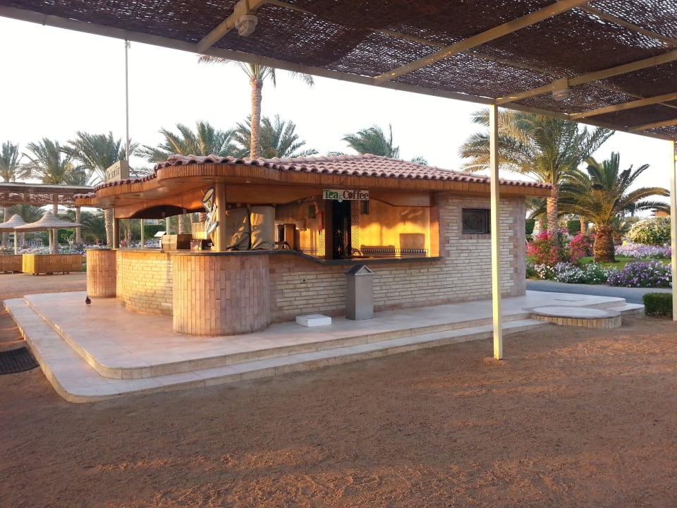 Strandbar Desert Rose