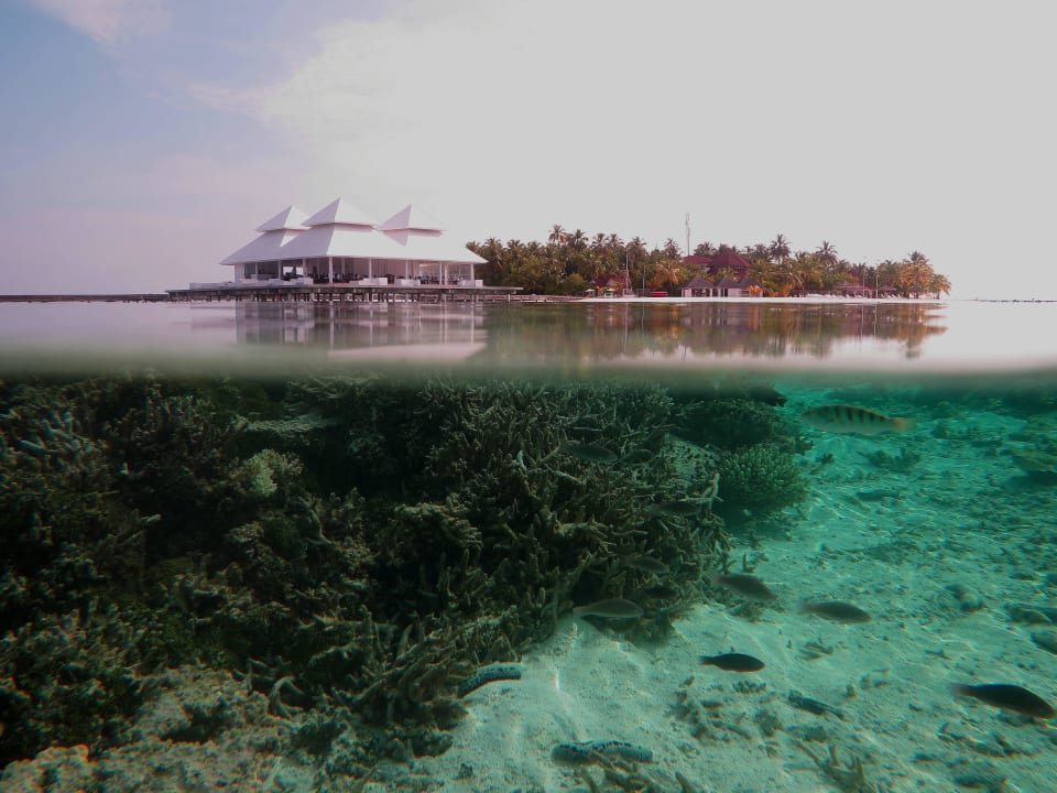 Riffausstieg ananea Diamonds Athuruga