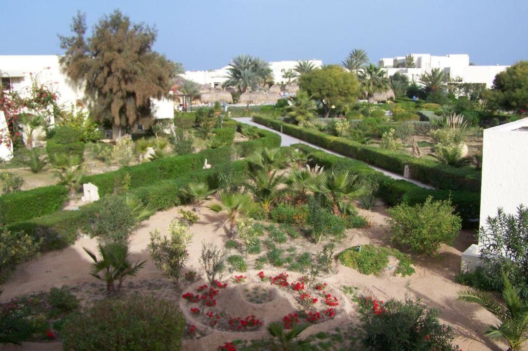 Ausblick TUI MAGIC LIFE Penelope Beach