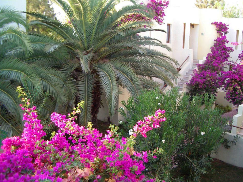 Вид с лестницы второго этажа бунгало VONRESORT Golden Beach