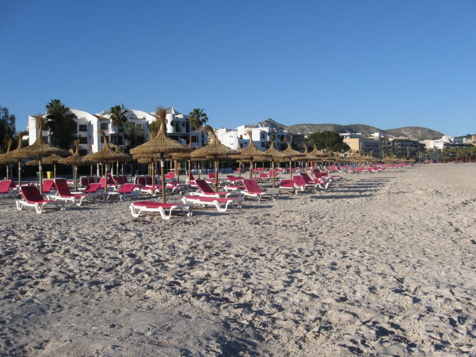 Strand nahe Hotel Alcudia Garden Aparthotel