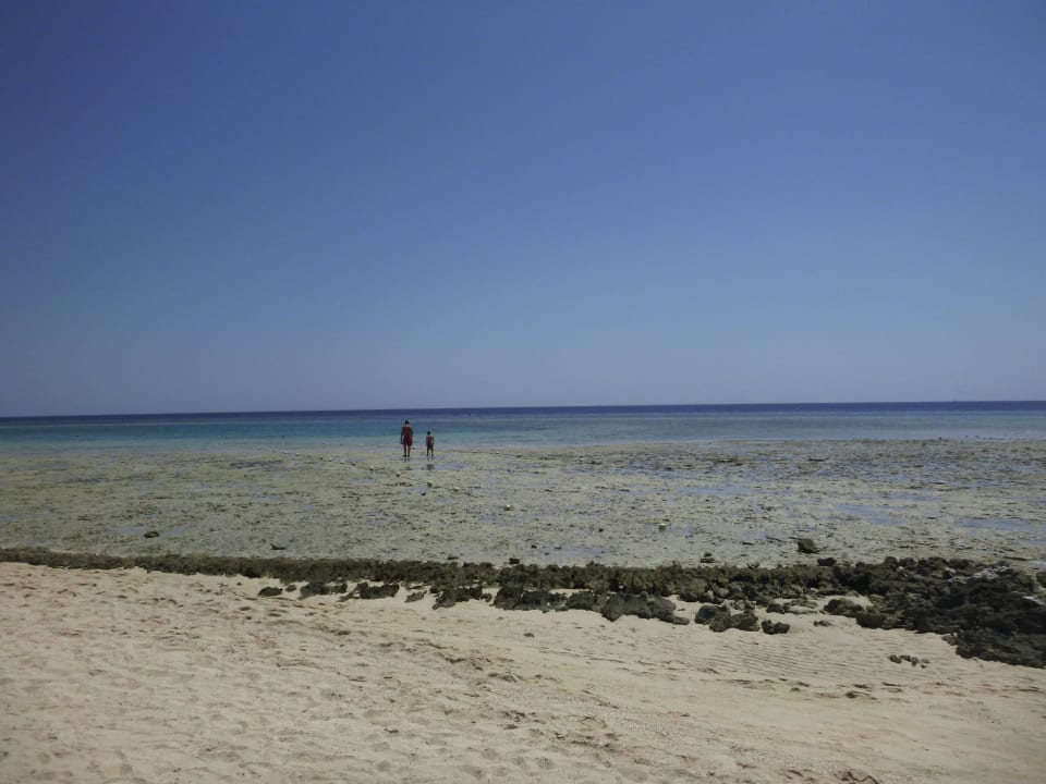 Strand Hotel Gorgonia Beach Resort