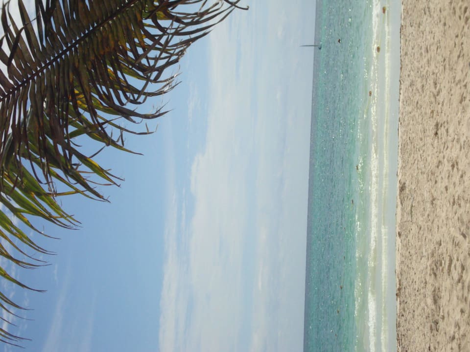 Hotel Catalonia Playa Maroma Catalonia Playa Maroma