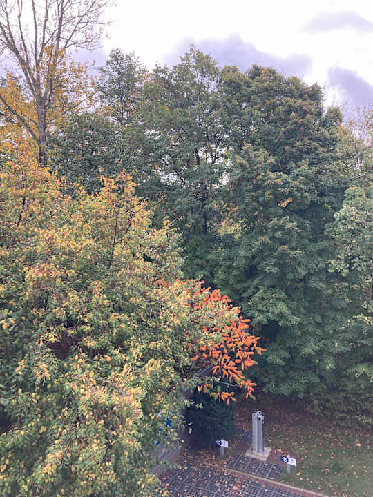 Zimmer Best Western Hotel Windorf