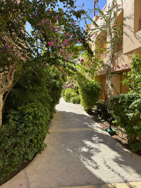 Gartenanlage Steigenberger Coraya Beach - Adults only