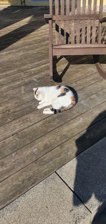 Sonstiges Spirit & SPA Hotel Birkenhof am Elfenhain