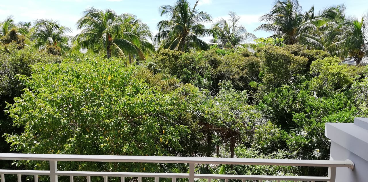 Zimmer Melia Las Dunas