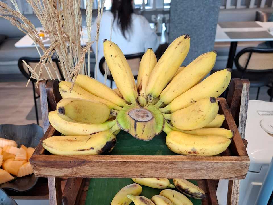 Gastro Arden Hotel and Residence by At Mind