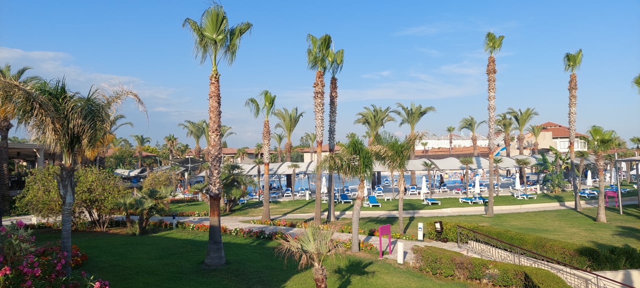 Ausblick TUI BLUE Palm Garden