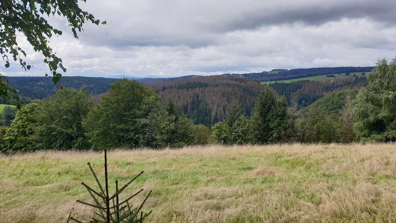 Ausblick Werrapark Resort Ferienhausanlage Am Sommerberg