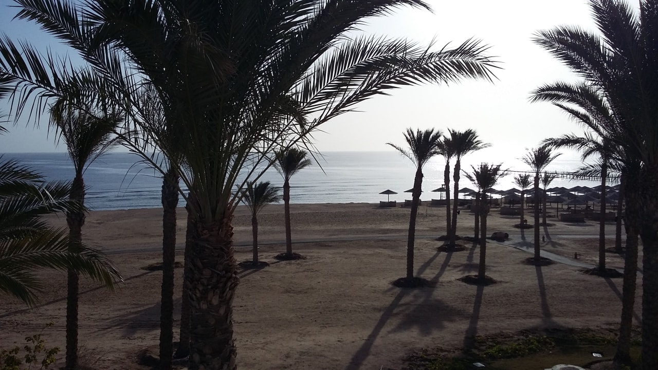 Ausblick Pickalbatros Sands Hotel - Port Ghalib