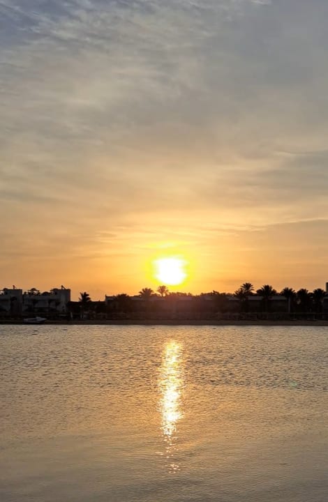Ausblick Desert Rose