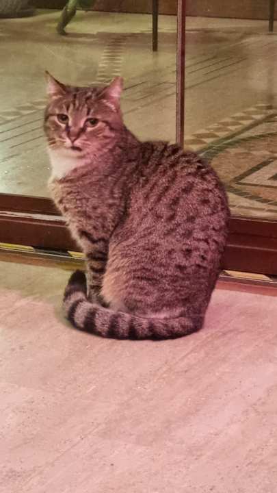 Lobby Dogan Hotel by Prana Hotels & Resorts