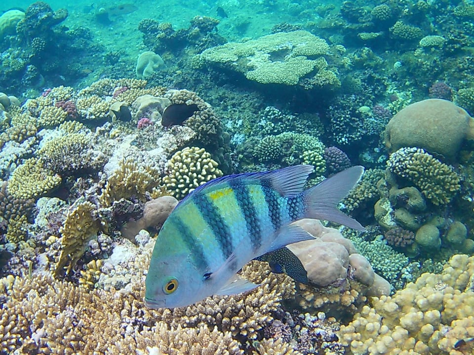 Strand Casa Mare Resort