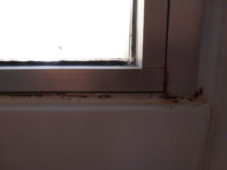 Das Fenster der Duschkabine Hotel Terme Venezia