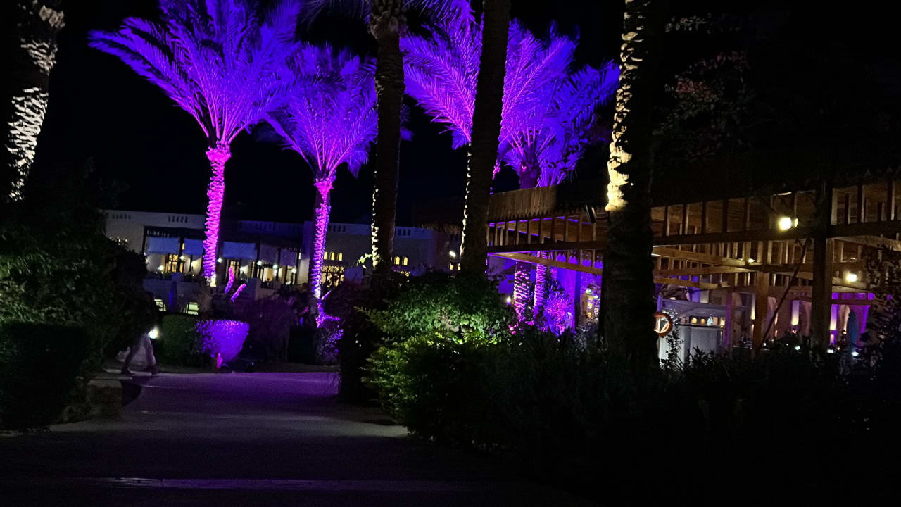 Gartenanlage Steigenberger Coraya Beach - Adults only