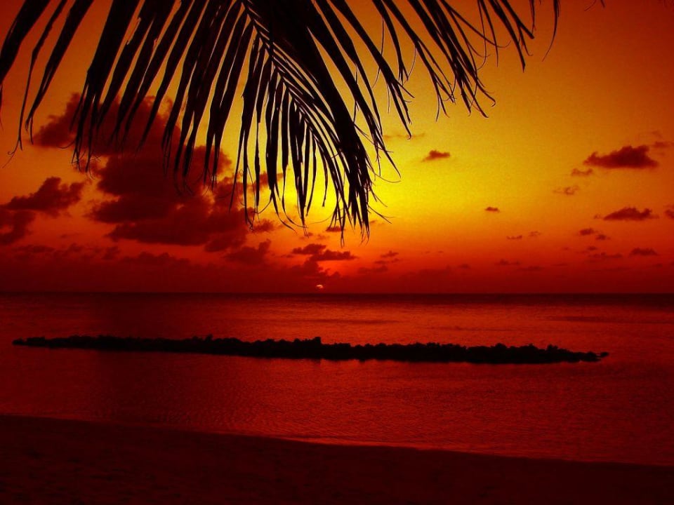 Sonnenuntergang im Paradies Summer Island Maldives
