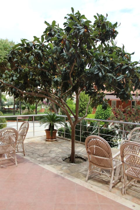 Gartenanlage Club Turtas Beach Hotel